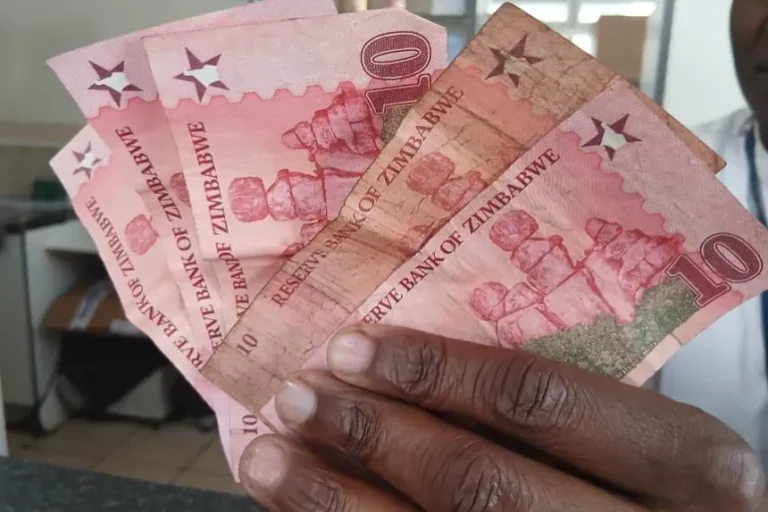Zimbabwe’s ZiG Faces Trust Test as Government Seeks to Reduce US Dollar Dependence